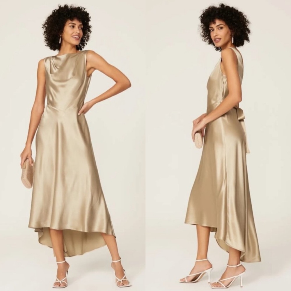 SALONI Jen Dress in Champagne Size US 4 - Picture 3 of 13